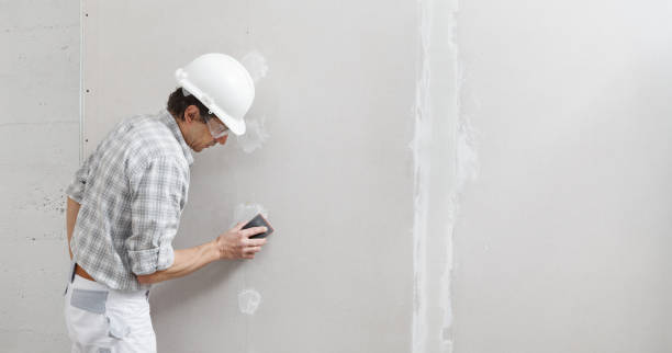 Best Drywall Removal and Disposal  in Hatch, NM